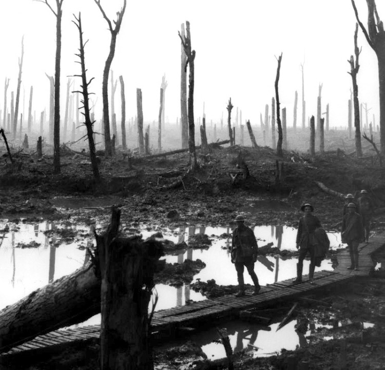 Chateau Wood, Ypres in late 1917