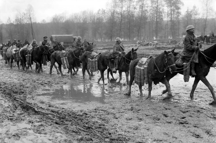 Aveluy Wood, Somme September 1916