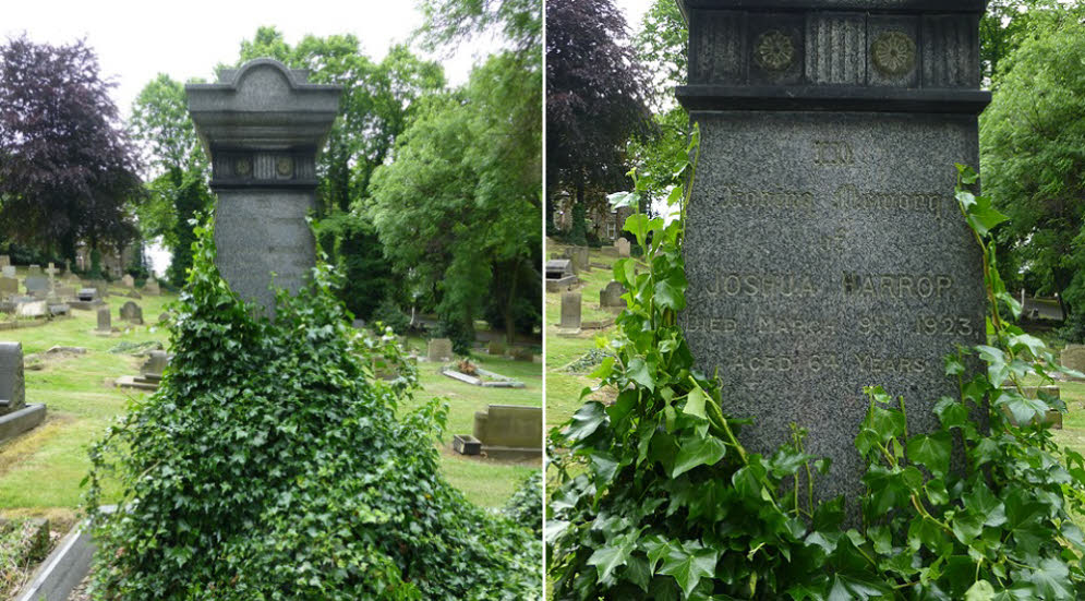 Joshua Harrop's Grave