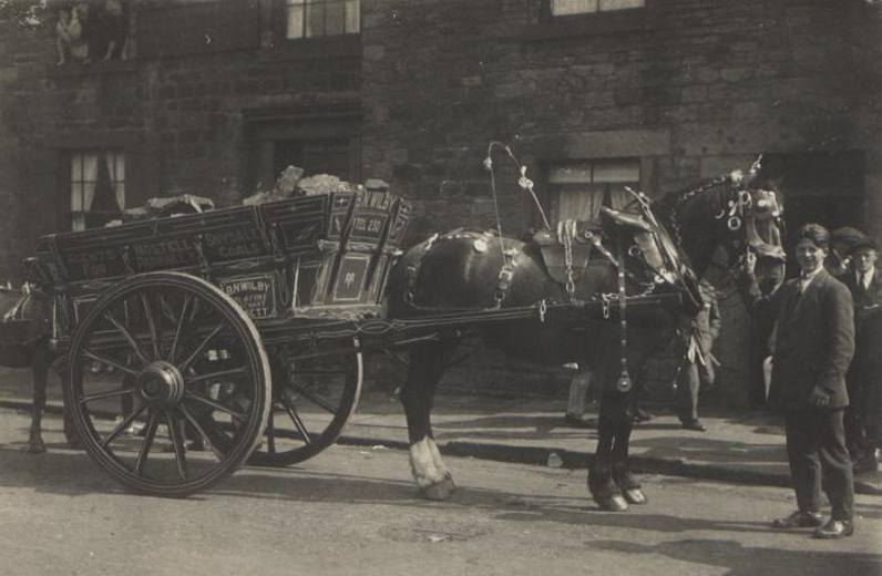 Benton Wilby Coal Merchant