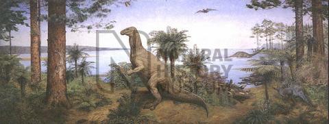 Natura History Museum