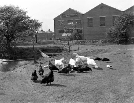 Owl Lane Mill 1950s 