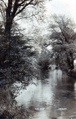 The Goit, Healey