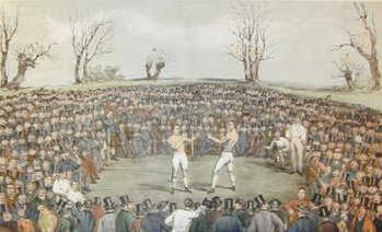 Prize Fight