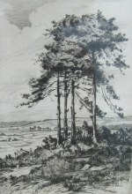 The Sentinel by H.M. Pemberton