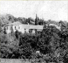 Racalia
